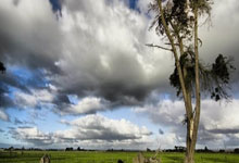 罗马诺：皇马想与劳尔-阿森西奥续约至年，预计今夏完成.