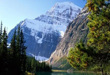 海星体育官网：[NBA]米切尔24分 骑士险胜黄蜂.